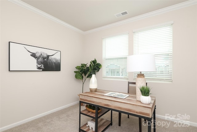 1119 Bellshill Dr, Indian Trail, NC 28079 - office space featuring ornamental molding, carpet, and baseboards