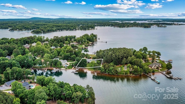 8218 Bright Water Ln, Denver, NC 28037 - aerial overview of property's location with a nearby body of water and property boundaries highlighted