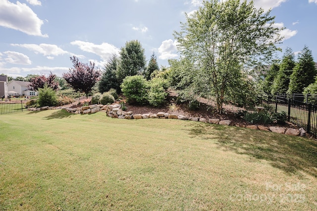 9026 Raven Top Dr, Mint Hill, NC 28227 - photo 30