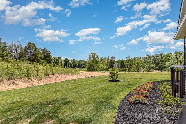 19031 Brandon James Dr, Cornelius, NC 28031 - photo 39