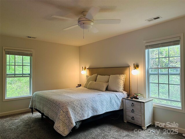 46 S Cottage Ct, Hendersonville, NC 28739 - photo 20