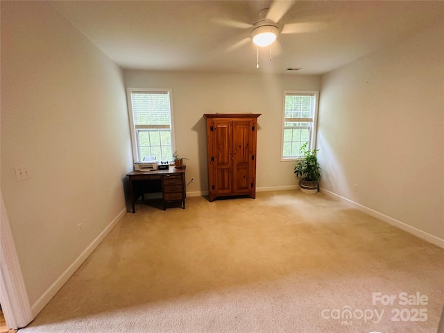 46 S Cottage Ct, Hendersonville, NC 28739 - photo 30