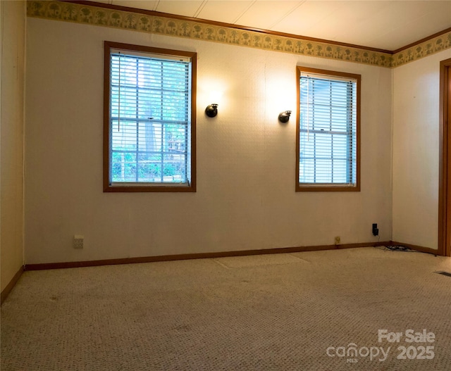 7 Lakewood Rd, Hendersonville, NC 28792 - spare room with carpet, baseboards, and crown molding