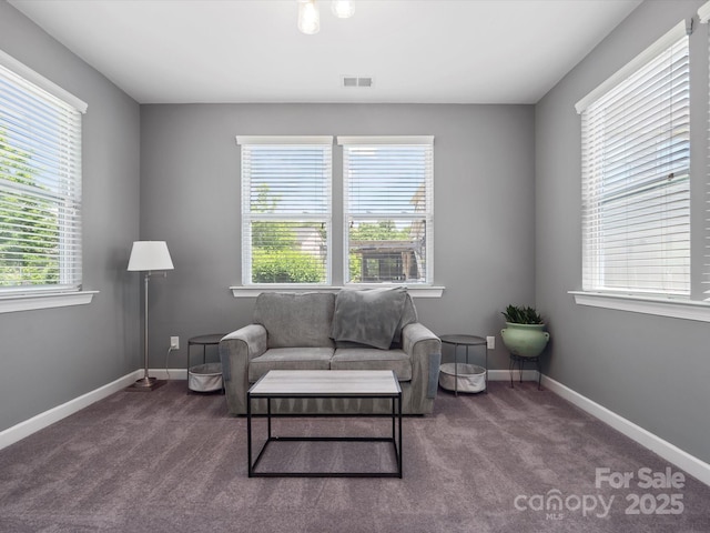 1305 Kings Grove Dr, York, SC 29745 - sitting room featuring carpet floors and baseboards