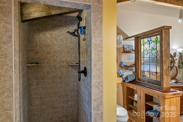6338 W View Dr, Newland, NC 28657 - bathroom featuring a tile shower and toilet