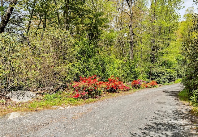 6338 W View Dr, Newland, NC 28657 - view of dirt / gravel road featuring a wooded view