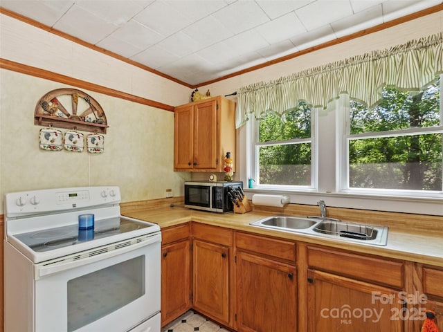 43 Charter Way, Burnsville, NC 28714 - kitchen featuring white range with electric stovetop, a sink, stainless steel microwave, light countertops, and crown molding