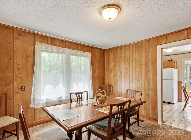 43 Charter Way, Burnsville, NC 28714 - dining room with healthy amount of natural light, wooden walls, baseboards, and a textured ceiling