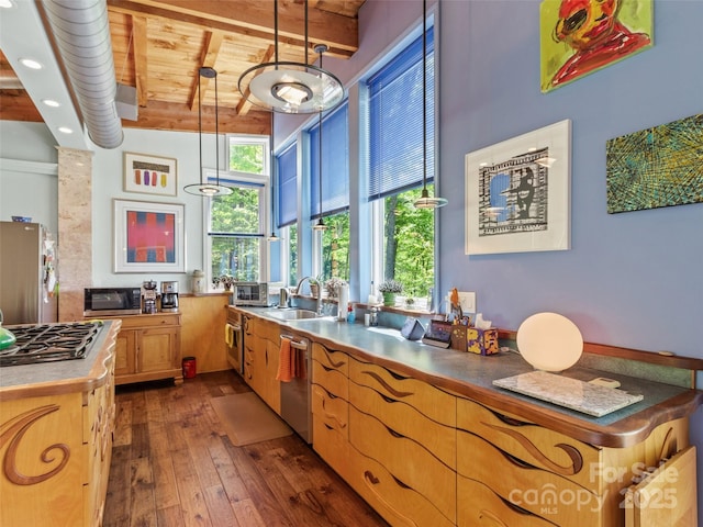 319 Twilight Way, Burnsville, NC 28714 - kitchen featuring appliances with stainless steel finishes, a sink, wooden ceiling, beamed ceiling, and dark wood-style flooring
