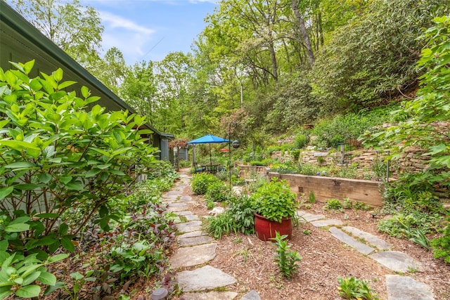 319 Twilight Way, Burnsville, NC 28714 - view of yard
