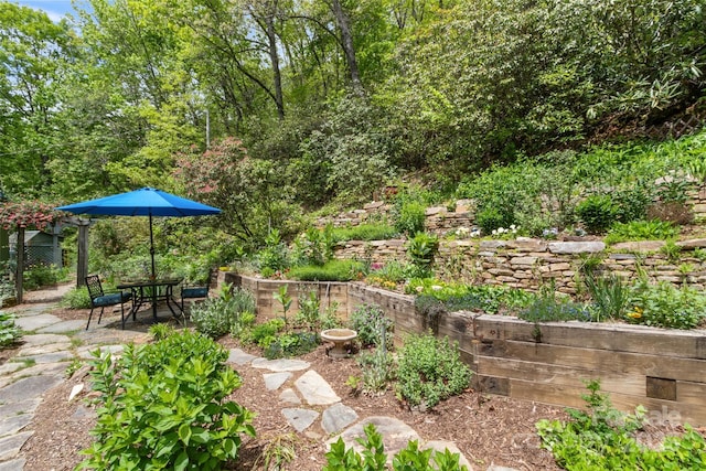 319 Twilight Way, Burnsville, NC 28714 - view of yard featuring a patio