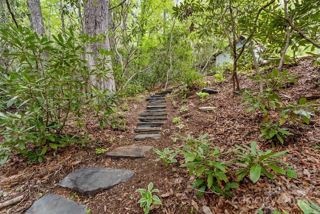 319 Twilight Way, Burnsville, NC 28714 - view of yard