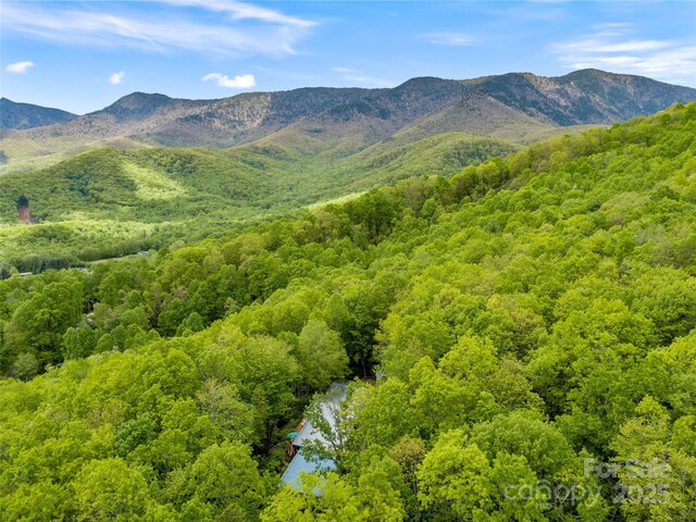 319 Twilight Way, Burnsville, NC 28714 - view of mountain backdrop featuring a forest