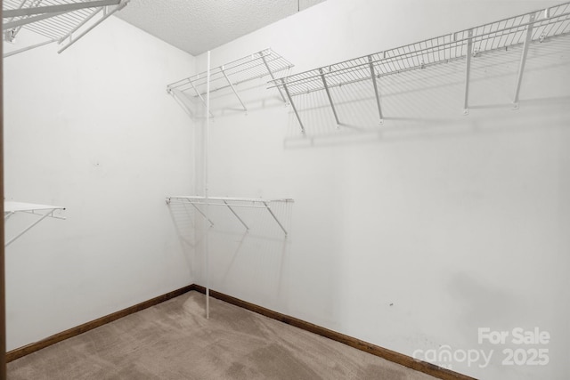 walk in closet featuring carpet