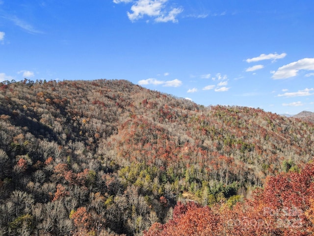 225 Magnolia Dr, Bryson City, NC 28713 - photo 35