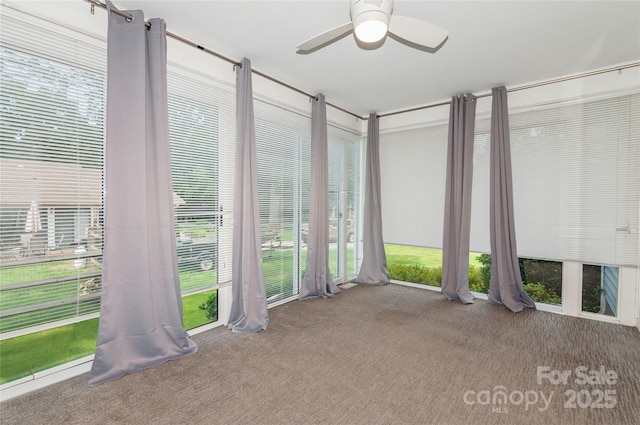 104 Gallarie Pl, Salisbury, NC 28144 - unfurnished sunroom featuring carpet flooring
