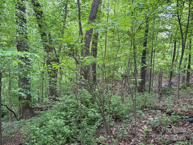TBD Adams St Unit 1, Waynesville, NC 28786
