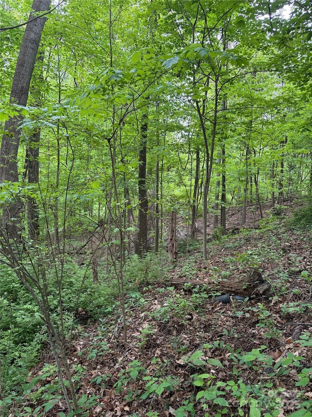 TBD Adams St Unit 1, Waynesville, NC 28786