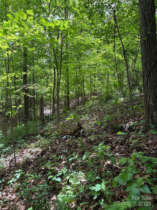 TBD Adams St Unit 1, Waynesville, NC 28786