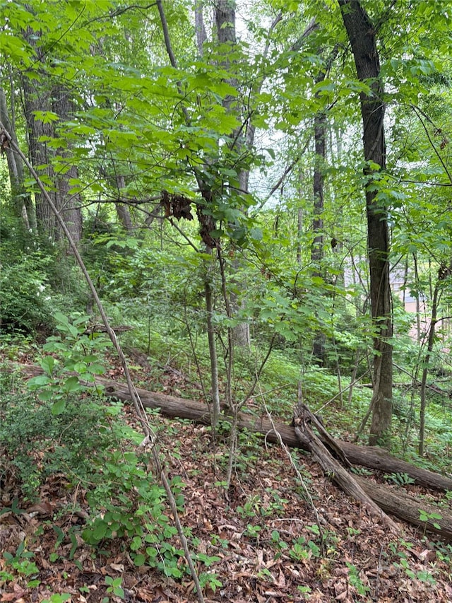 TBD Adams St Unit 1, Waynesville, NC 28786