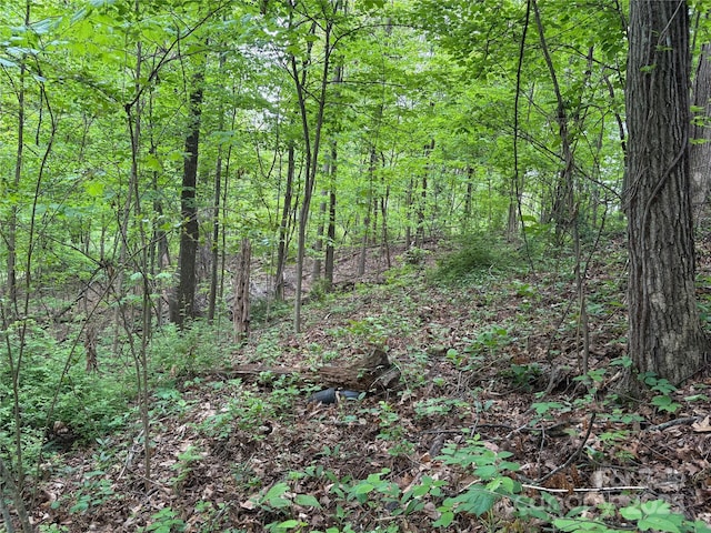 TBD Adams St Unit 1, Waynesville, NC 28786