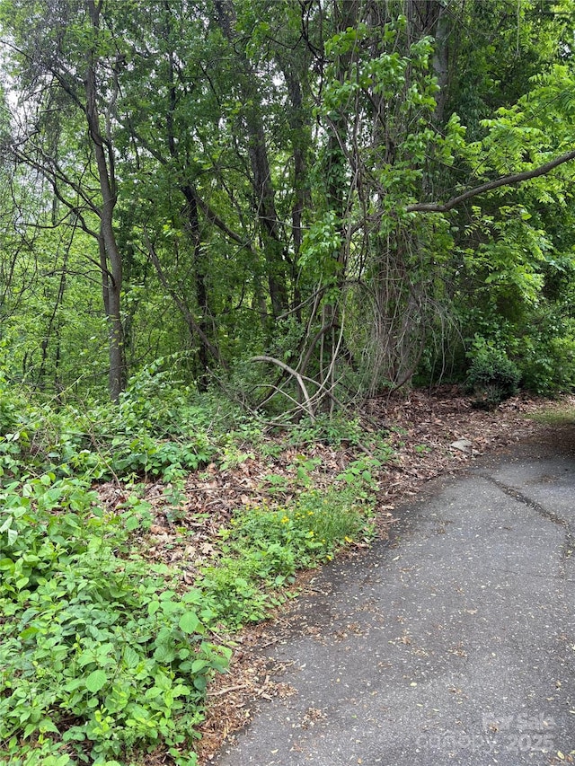 TBD Adams St Unit 1, Waynesville, NC 28786