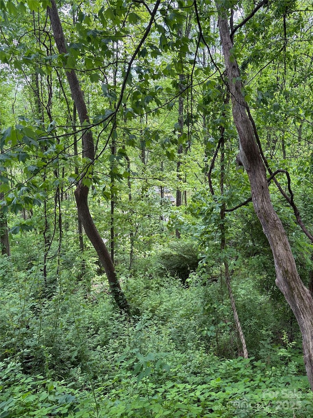 TBD Adams St Unit 1, Waynesville, NC 28786