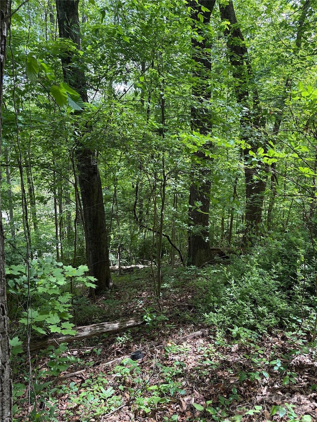 TBD Adams St Unit 1, Waynesville, NC 28786