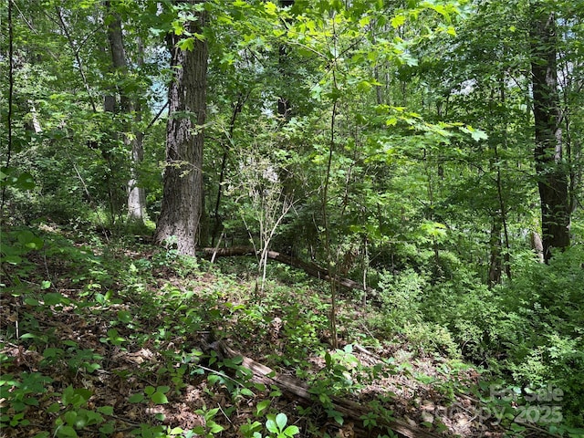 TBD Adams St Unit 1, Waynesville, NC 28786