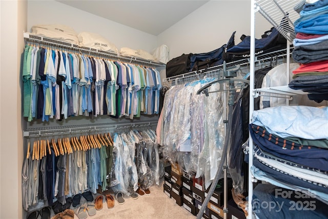 9521 Ainslie Downs St, Charlotte, NC 28273 - walk in closet featuring carpet flooring