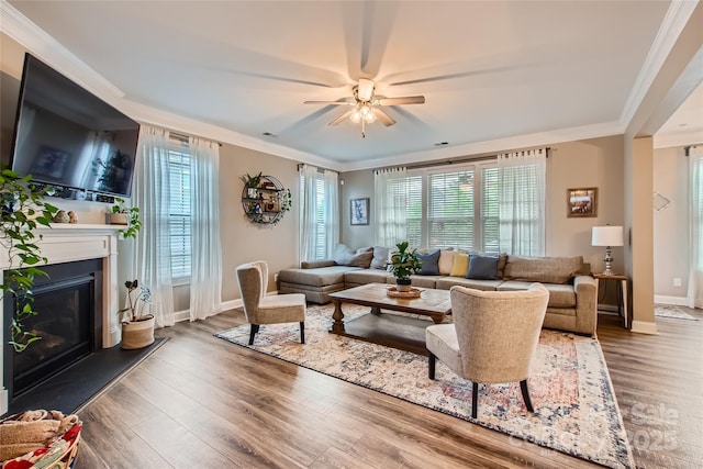 living room with ceiling fan, wood finished floors, baseboards, a glass covered fireplace, and crown molding