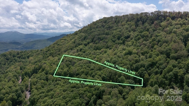 508 Slippery Rock Rd, Waynesville, NC 28785