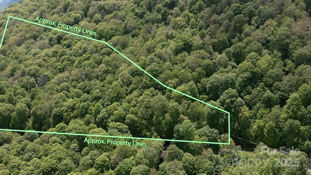 508 Slippery Rock Rd, Waynesville, NC 28785