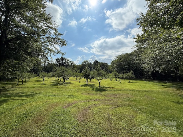 200 Newman Dr, Hendersonville, NC 28792 - photo 38