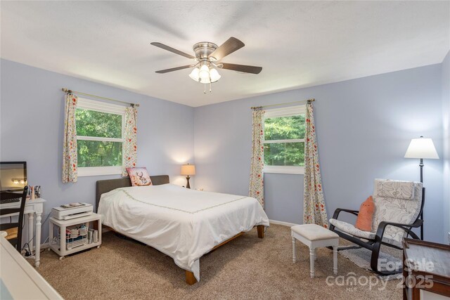 bedroom with multiple windows, carpet, and baseboards