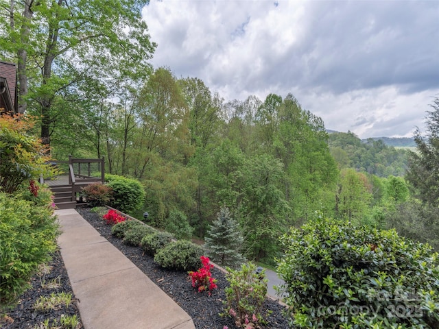 14 Bellewood Dr, Maggie Valley, NC 28751 - view of yard featuring a wooded view and a wooden deck