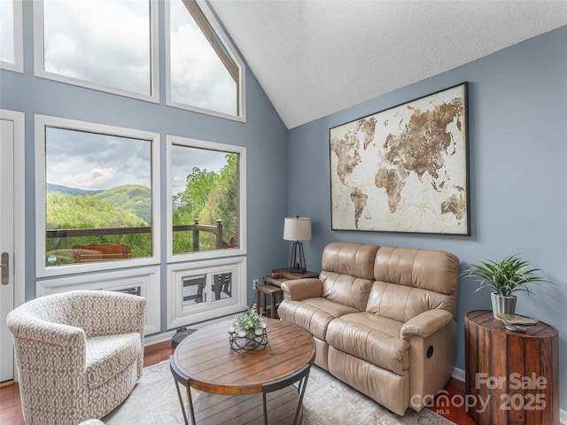 14 Bellewood Dr, Maggie Valley, NC 28751 - living area featuring wood finished floors and high vaulted ceiling