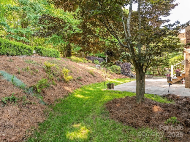 7040 Edenderry Dr, Charlotte, NC 28270 - view of yard featuring a patio area