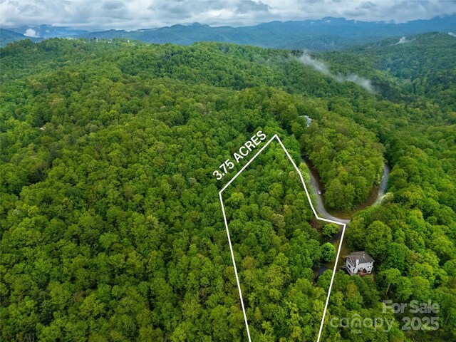 LOT45 Big Branch Rd Unit 45, Brevard, NC 28712