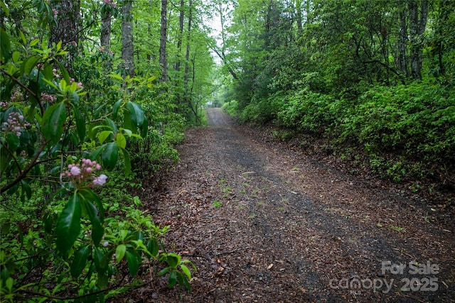 LOT45 Big Branch Rd Unit 45, Brevard, NC 28712