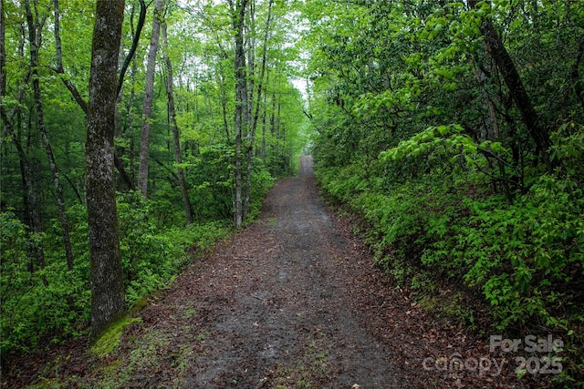 LOT45 Big Branch Rd Unit 45, Brevard, NC 28712
