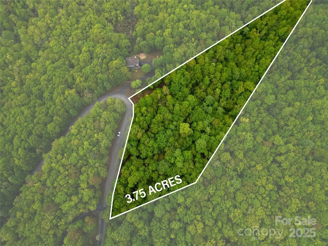 LOT45 Big Branch Rd Unit 45, Brevard, NC 28712