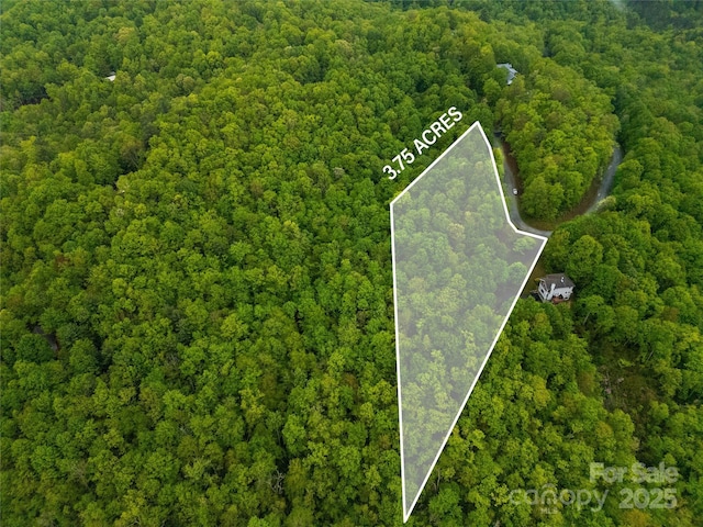 LOT45 Big Branch Rd Unit 45, Brevard, NC 28712