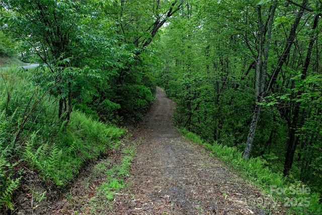 LOT45 Big Branch Rd Unit 45, Brevard, NC 28712