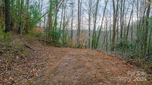 view of tree filled area