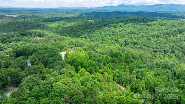TBD Darrow Dr Unit 95, Nebo, NC 28761
