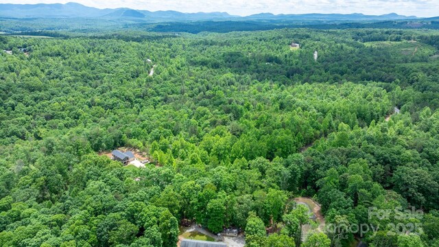 TBD Darrow Dr Unit 95, Nebo, NC 28761