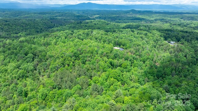 TBD Darrow Dr Unit 95, Nebo, NC 28761