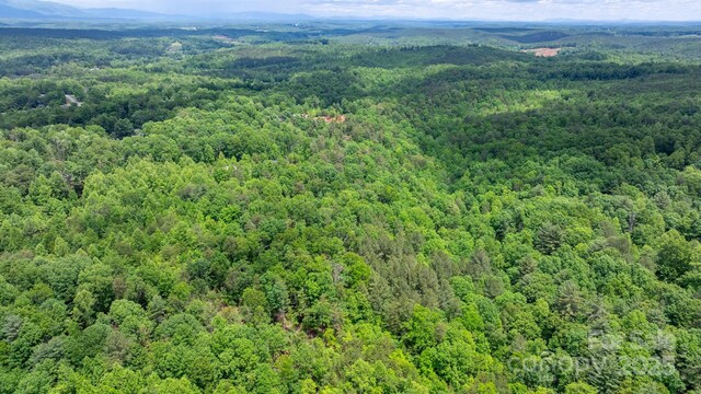 TBD Darrow Dr Unit 95, Nebo, NC 28761