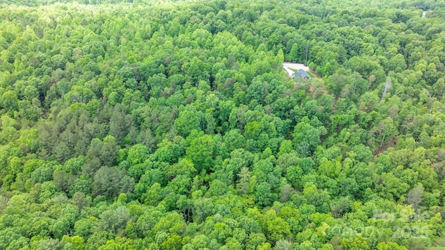 TBD Darrow Dr Unit 95, Nebo, NC 28761